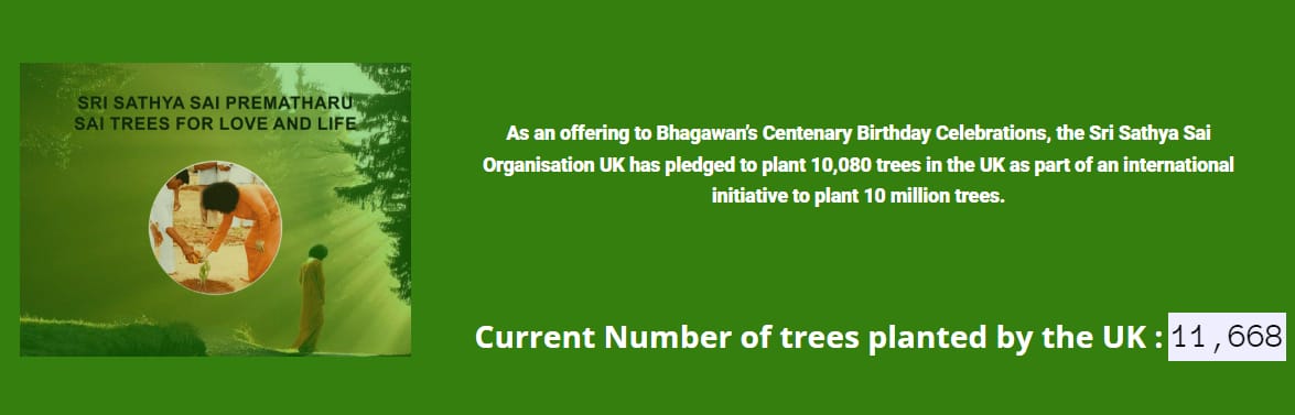 tree-planting updated