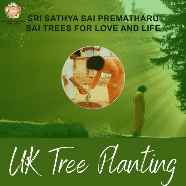Tree Planting Project UK Prema Tharu
